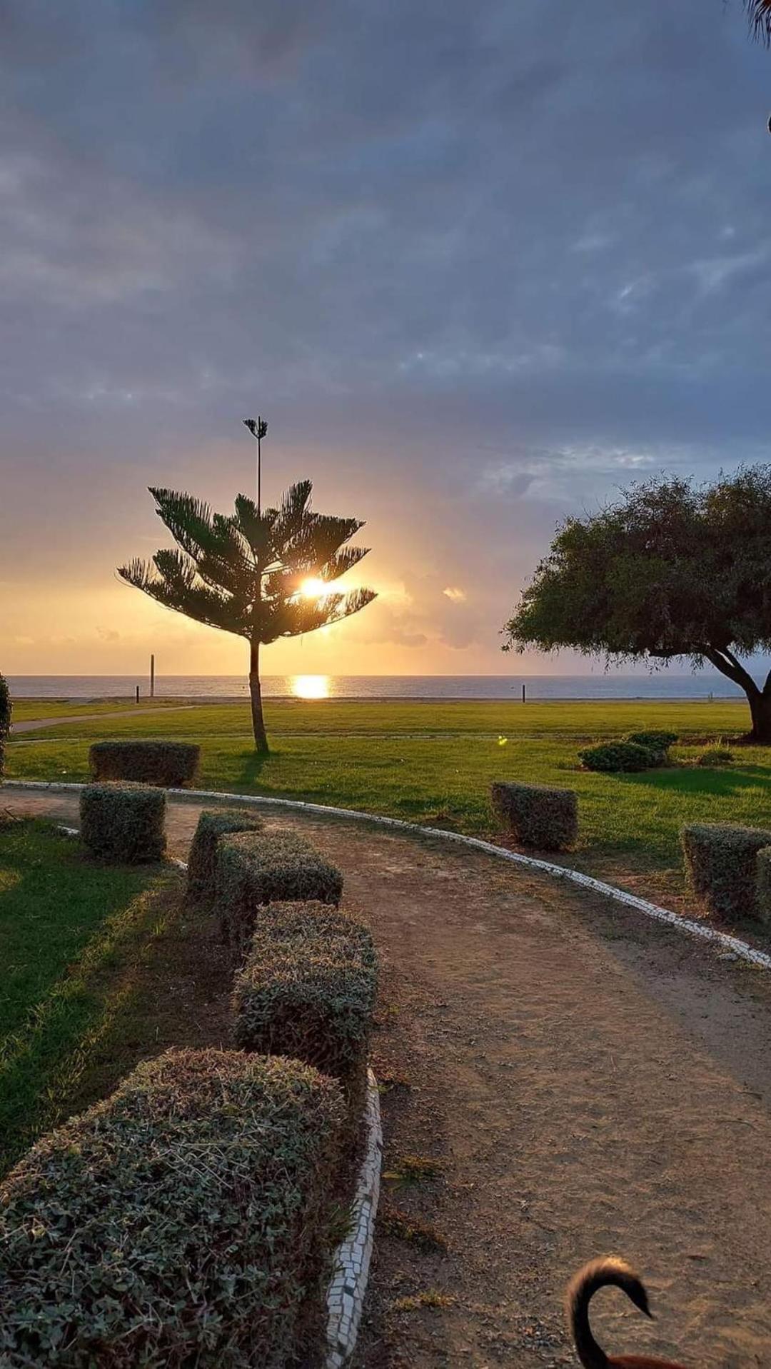 Apartamento Magic World Nueva Marina D'Or 2 Dormitorios Edificio Torremar أوروبيسا ذيل مار المظهر الخارجي الصورة
